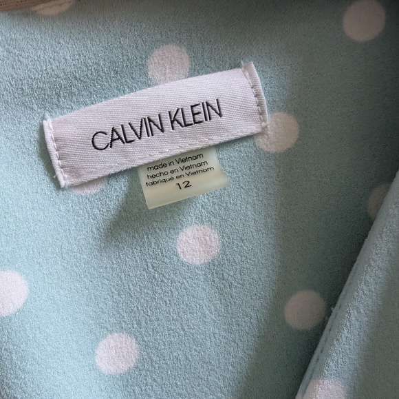 Calvin Klein Polka Dot Fit & Flare Sleeveless Dress - Picture 6 of 7